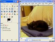 скриншот программы GIMP в работе