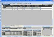 одно из рабочих окон Персональный Финансовый Органайзер