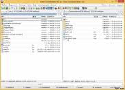 одно из рабочих окон Total Commander 9.0
