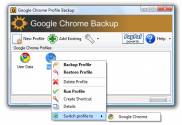 одно из рабочих окон Google Chrome Backup