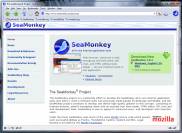 одно из рабочих окон SeaMonkey
