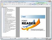 одно из рабочих окон Foxit Reader