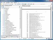 одно из рабочих окон STDU Viewer