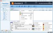 одно из рабочих окон FlashGet 3.7.0.1220