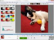 одно из рабочих окон Picasa 3.9