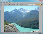 скриншот программы ACDSee Free в работе