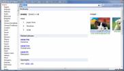 изображение рабочей области Dictionary.Net