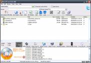 скриншот программы Burn4Free в работе