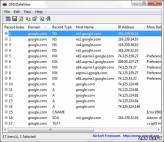 скриншот программы DNSDataView в работе