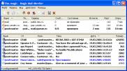 изображение рабочей области Magic Mail Monitor