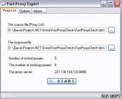 одно из рабочих окон Fast Proxy Expert